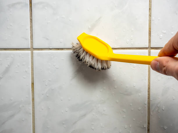 Best Office Mold Removal Services  in Denton, NC