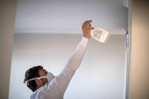 Best Same-Day Mold Removal  in Denton, NC