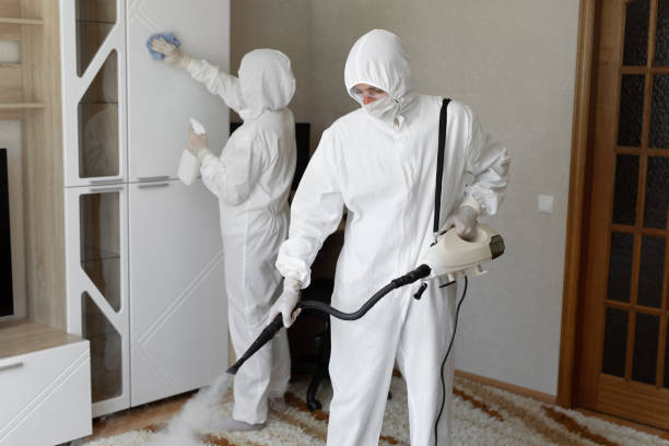 Best Attic Mold Removal  in Denton, NC