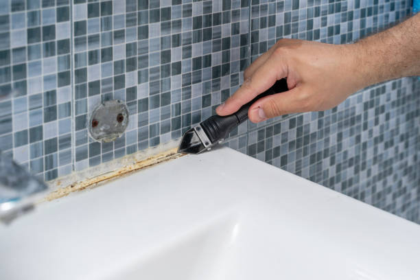 Best Toxic Mold Removal  in Denton, NC
