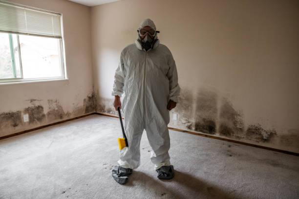 Best Toxic Mold Removal  in Denton, NC